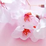 artist image Azeri balasi Elçin İmanov ft. Eyyub Yaqubov - Kubinka (remix 2022) Love 2.5 Musical Original Sound Track Collection, Vol.1