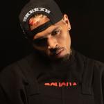 artist image Chris Brown feat. Usher, Gucci Mane Party Heartbreak on a Full Moon