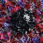 artist image Myth & Roid TRAGEDY:ETERNITY eYe's