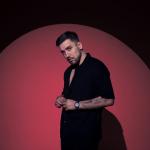 artist image Post Malone Rokstar-Remix Rockstar - Single