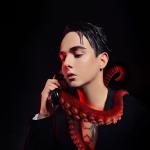 artist image MELOVIN Under the Ladder Octopus
