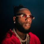artist image Burna Boy Collateral Damage African Giant