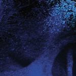 artist image DevilDriver Coldblooded Beast