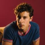artist image Shawn Mendes Teach Me How To Love Wonder