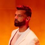 artist image Ricky Martin She Bangs (2000) 