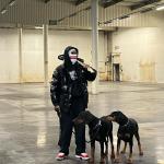 artist image Roshi Molotov Attaque II