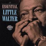 album image I Got To Find My Baby The Essential Little Walter
