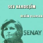 album image Sev Kardeşim Sev Kardeşim / Benim Olursan - Single