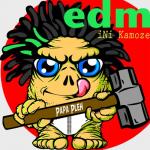 album image Here Comes the Hotstepper (Edm Remix) Edm