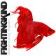 Fighting Kind - Beginning Again