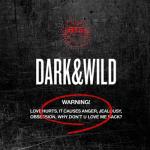 album image Outro : Does that make sense DARK&WILD