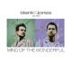 Blank & Jones, Elles - Mind of the Wonderful