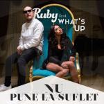 album image Nu pune la suflet Nu Pune La Suflet (feat. What's Up) - Single