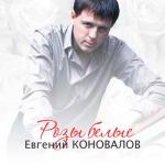 album image Роза Белая Розы белые