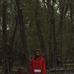 album image Still Cold / Pathway Private Red Teenage Melody