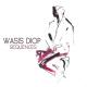 Wasis Diop - Everything (...Is Never Quite Enough)