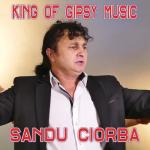 album image Camau King of Gipsy Music