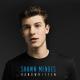 camila cabello, shawn mendes - i know what you did last summer (slowed + reverb)