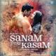 Sanam Teri Kasam (2016) - Sanam Teri Kasam