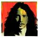 Chris Cornell - 'Til The Sun Comes Back Around