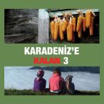 album image Alışamadım Gönlüm Karadeniz'e Kalan, Vol. 3