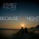 Stereo Palma Feat Myra - Because The Night (Ben Nyler X Lost Carves Remix)