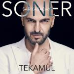 album image Tekamul (Burak Balkan Remix) Tekamül - Single