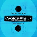 album image Shape of You No Diggity (feat. Matthew Darren) Shape of You No Diggity (feat. Matthew Darren) - Single