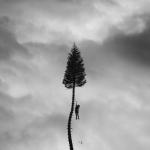 album image The Maze A Black Mile To The Surface