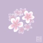 album image cliché plum blossom