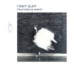 album image Big Log The Principle of Moments (Remastered)