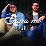 album image Bana Ne Official Music Video Bana Ne - Single