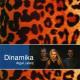 Dinamika - Nežinau