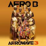 album image Shaku Shaku Afrowave 3