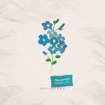 album image Мокрые кроссы, Незабудка, Витаминка (Earl DJ mashup) Незабудка - Single