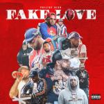 album image Lunnoe Siyanie Fake Love (Deluxe Version)