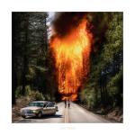album image Until The Fire Ladytron