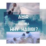 album image Why Habibi? Why Habibi? (feat. Raluka) - Single
