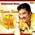 album image Raja KO Rani Se Bollywood Music - Kumar Sanu At His Best, Vol. 1