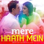 album image Dekho Na Mere Haath Mein - Hits of Sonu Nigam