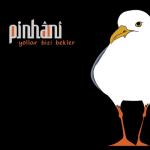 album image Pinhani - Iyi değilim ben (SesDizi) Yollar Bizi Bekler