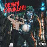 album image Buldum ORMAN KANUNLARI