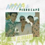 album image Te Olvidaré Te Olvidaré - Single