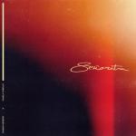 album image Señorita Señorita - Single