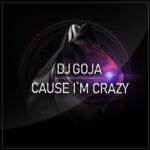 album image Cause I`m Crazy Cause I'm Crazy - Single