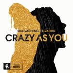 album image Crazy as You (Acoustic) Crazy as You - Single