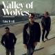 Valley of Wolves - Weather Man
