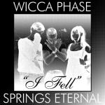 album image I Fell (Darby Allin AEW Theme) I Fell (Darby Allin AEW Theme) - Single