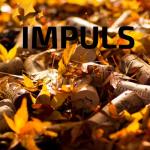 album image -Mana Hora Vizitiu ((Impuls Remix))- Cantece De Petrecere Si Muzica Lautareasca