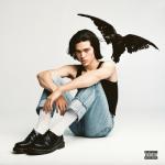 album image Fight or Flight Kid Krow